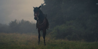 extant_AKnightOfTheSevenKingdoms_1x03-TheSquire_00221
