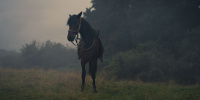 extant_AKnightOfTheSevenKingdoms_1x03-TheSquire_00224