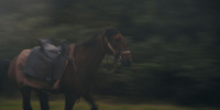 extant_AKnightOfTheSevenKingdoms_1x03-TheSquire_00279