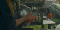extant_AKnightOfTheSevenKingdoms_1x03-TheSquire_00721