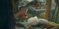 extant_AKnightOfTheSevenKingdoms_1x03-TheSquire_00722