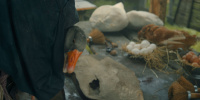 extant_AKnightOfTheSevenKingdoms_1x03-TheSquire_00725