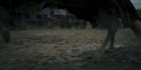 extant_AKnightOfTheSevenKingdoms_1x03-TheSquire_01586