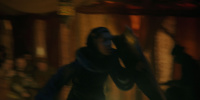 extant_AKnightOfTheSevenKingdoms_1x03-TheSquire_02368