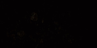 extant_AKnightOfTheSevenKingdoms_1x04-Seven_00017