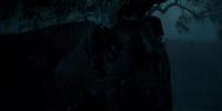 extant_AKnightOfTheSevenKingdoms_1x04-Seven_01134