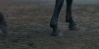 extant_AKnightOfTheSevenKingdoms_1x05-InTheNameOfTheMother_0282