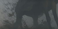 extant_AKnightOfTheSevenKingdoms_1x05-InTheNameOfTheMother_0301