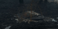 extant_AKnightOfTheSevenKingdoms_1x05-InTheNameOfTheMother_0331