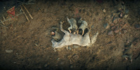 extant_AKnightOfTheSevenKingdoms_1x05-InTheNameOfTheMother_0469