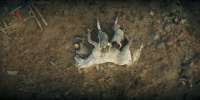extant_AKnightOfTheSevenKingdoms_1x05-InTheNameOfTheMother_0471