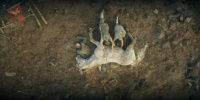 extant_AKnightOfTheSevenKingdoms_1x05-InTheNameOfTheMother_0474