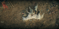 extant_AKnightOfTheSevenKingdoms_1x05-InTheNameOfTheMother_0476