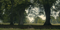 extant_AKnightOfTheSevenKingdoms_1x05-InTheNameOfTheMother_0646