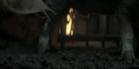 extant_AKnightOfTheSevenKingdoms_1x05-InTheNameOfTheMother_1312