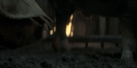 extant_AKnightOfTheSevenKingdoms_1x05-InTheNameOfTheMother_1313