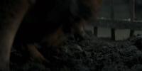 extant_AKnightOfTheSevenKingdoms_1x05-InTheNameOfTheMother_1314