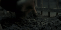 extant_AKnightOfTheSevenKingdoms_1x05-InTheNameOfTheMother_1315