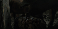 extant_AKnightOfTheSevenKingdoms_1x05-InTheNameOfTheMother_1571