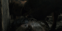 extant_AKnightOfTheSevenKingdoms_1x05-InTheNameOfTheMother_1572