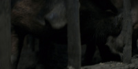 extant_AKnightOfTheSevenKingdoms_1x05-InTheNameOfTheMother_1579
