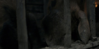 extant_AKnightOfTheSevenKingdoms_1x05-InTheNameOfTheMother_1580