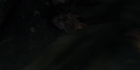 extant_AKnightOfTheSevenKingdoms_1x05-InTheNameOfTheMother_1581