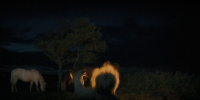 extant_AKnightOfTheSevenKingdoms_1x05-InTheNameOfTheMother_2089