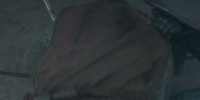 extant_AKnightOfTheSevenKingdoms_1x05-InTheNameOfTheMother_2822