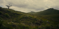 extant_AKnightOfTheSevenKingdoms_1x06-TheMorrow_01346