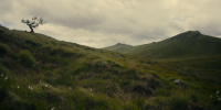 extant_AKnightOfTheSevenKingdoms_1x06-TheMorrow_01347