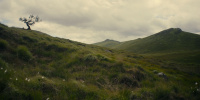 extant_AKnightOfTheSevenKingdoms_1x06-TheMorrow_01348
