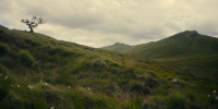 extant_AKnightOfTheSevenKingdoms_1x06-TheMorrow_01349