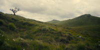 extant_AKnightOfTheSevenKingdoms_1x06-TheMorrow_01351