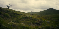extant_AKnightOfTheSevenKingdoms_1x06-TheMorrow_01494