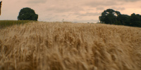 extant_AKnightOfTheSevenKingdoms_1x06-TheMorrow_02647